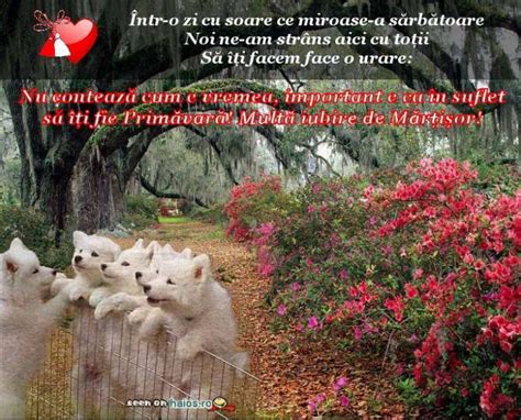 The word mărțișor is the diminutive of marț, the old folk name for march (martie, in modern romanian) cele mai frumoase mesaje martisor pe care le poti trimite prietenilor tai prin sms sau prin email! Intr-o zi cu soare ce miroase-a sarbatoare, Noi ne-am strans aici cu totii, sa iti facem o urare ...