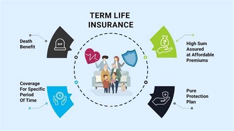 Term Life Insurance The Only Guide You Need Wealth Nation