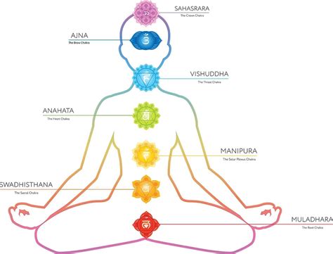 The 7 Chakras Of The Human Body Chakra Chakra Meditat Vrogue Co