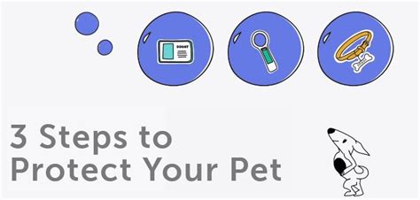Get it registered today and never worry about it again. Never Lose Your Pet Thanks to Michelson's Found Animals ...