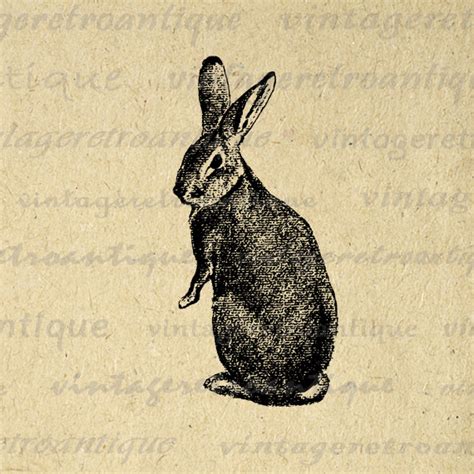 Vintage Rabbit Clipart 10 Free Cliparts Download Images On Clipground