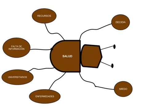 Descripcion Del Fenomeno Modelo Escarabajo Escarabajo Modelos