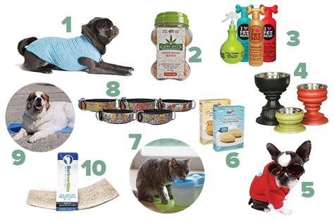 The Pet Guide: Pet Products Gone Wild