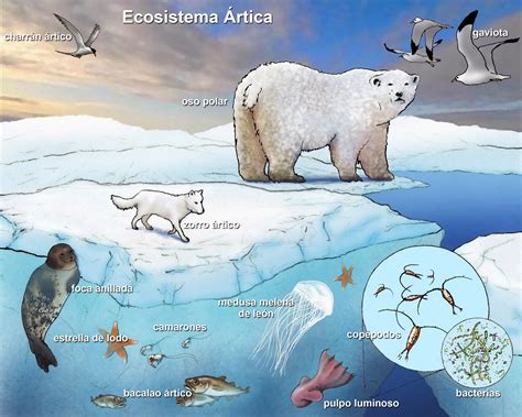 Grade 9 Science Nov 22 Introduction To Ecology