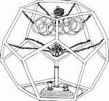 Gyroscope Atlantis 출처 sketch template
