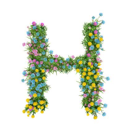 Affordable and search from millions of royalty free images, photos and. Letter H Flower Alphabet Isolated On White Stock Photo - Download Image ...