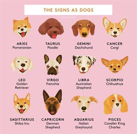 Pin by Avery Jakomeit on zodiac | Dog zodiac, Zodiac signs animals