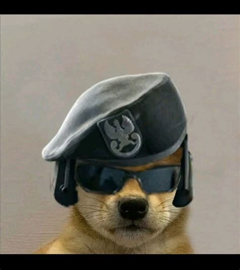 Doge With Hat R6 Doge Crypto