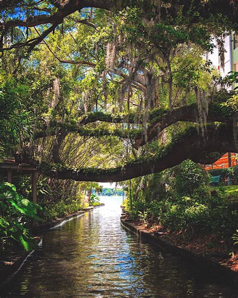 Winter Park Central Floridas Hidden Gem Placestravel