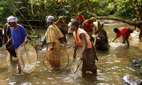 Congo Basin People Image Photos Wwf