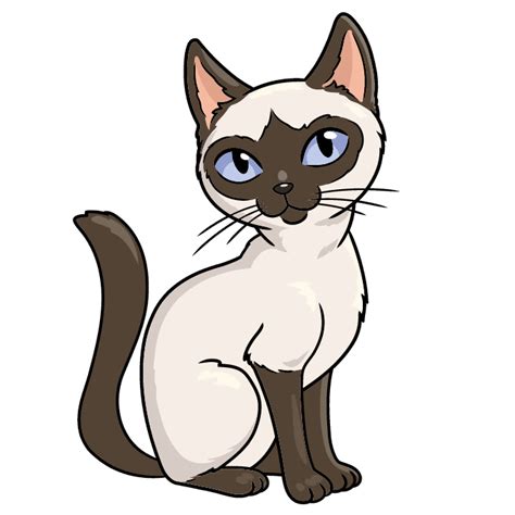 How To Draw A Siamese Cat Really Easy Drawing Tutorial