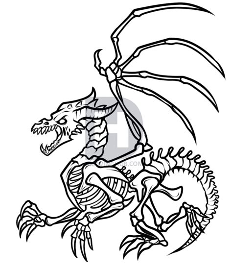 Dragon Skeleton Drawing Free Download On Clipartmag