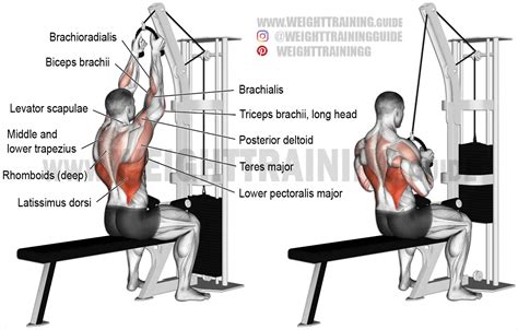 Rope Lat Pull Down Exercise Instructions And Video Weight Training Guide