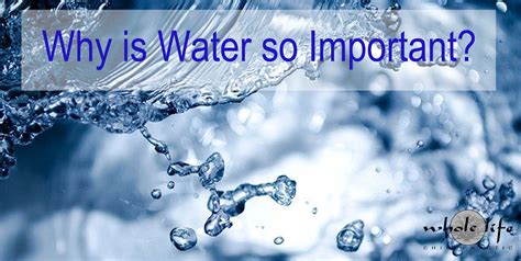 Why Is Water So Important