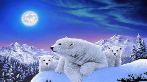 Dreams Of Polar Bears Hd Desktop Wallpaper Widescreen High Definition Fullscreen