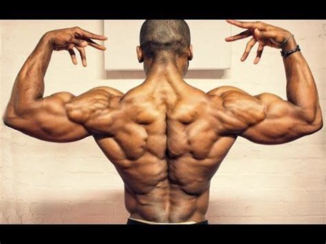 The back muscles are divided into two large groups: Back Muscles Reference : Muscle Anatomy and Gesture ...