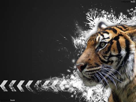 Tiger Face Wallpapers Wallpaper Cave