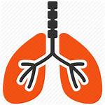 Respiratory System Icon Respiration Organ Lung Trachea
