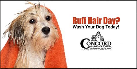 Check spelling or type a new query. Wash & Dry All In One At Concord Pet Foods Do It Yourself ...
