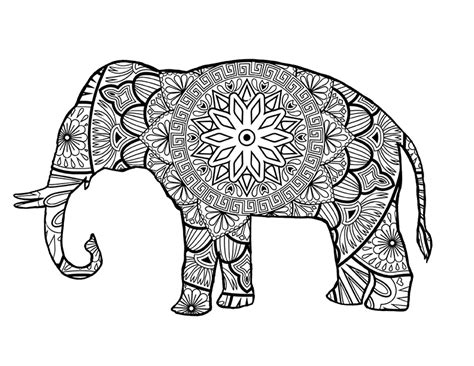 5 Elephant Coloring Pages The Graphics Fairy