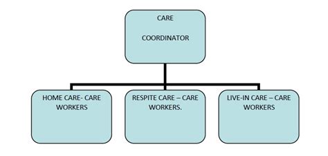 Welcome to home & health care management! Organisational Structure | ICRIT Healthcare