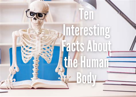 Ten Interesting Facts About The Human Body Terrebonne Parish Library