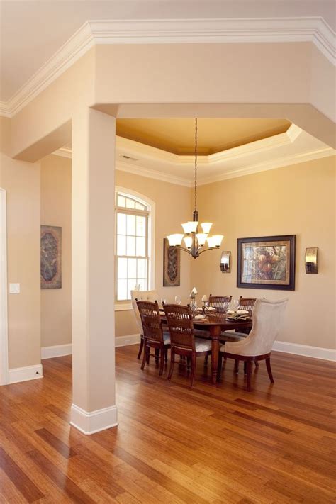 Typically, they are all upgrades that can cost a small fortune too. 16 best Tray Ceilings images on Pinterest | Ceiling ideas ...
