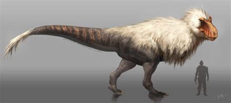 Fluffy Rex By Arvalis Feathered Dinosaurs Tyrannosaurus Extinct Animals