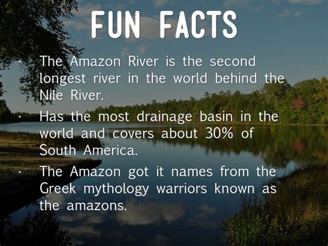 Amazon River Facts Unknown Facts About The Amazon River Images And