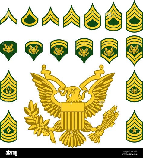 Us Army Enlisted Ranks Chevrons And America Military Service Soldiers