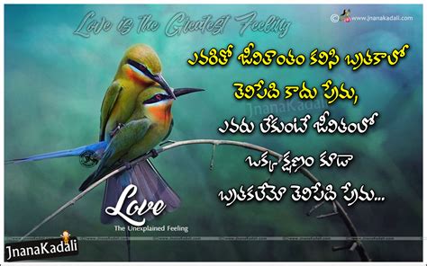Labace Love Birds Images With Quotes In Telugu