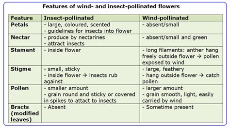 Pollination Biology Notes For Igcse 2014