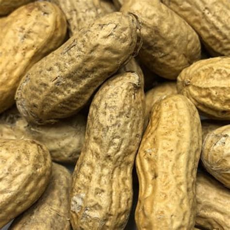 Peanuts In Shell Raw Sold Per Lb Year Round