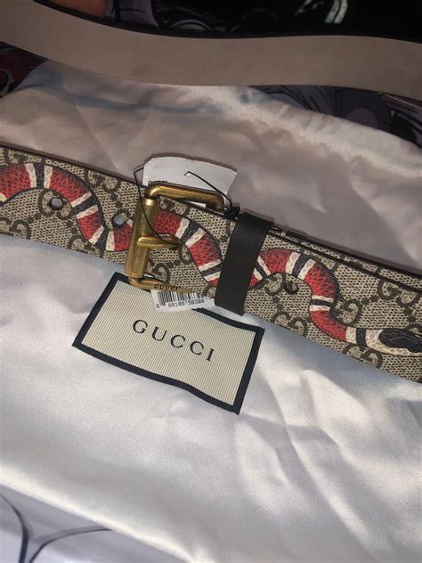 Gucci Gucci Gg Supreme Belt With Kingsnake Print Grailed