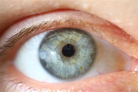 Close Up Eyes And Healthy Male Pupil Blue Colors Stock Photo Image Of