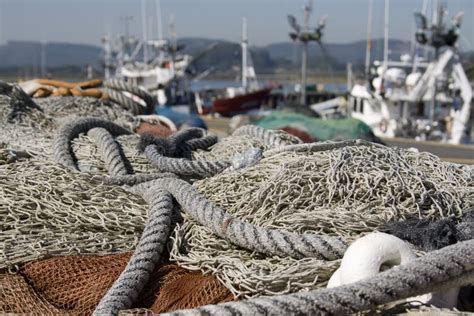 Redes De Pesca Para Pescar No Mar Foto De Stock Imagem De Peixes