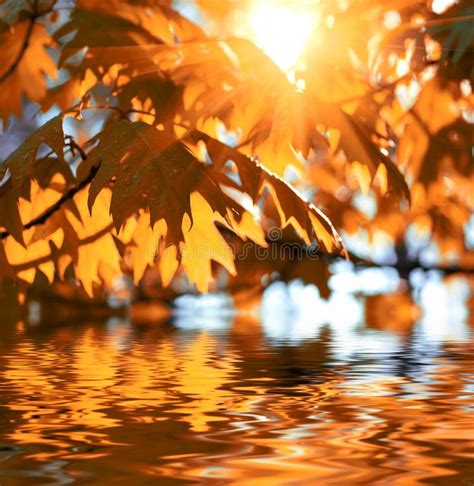 Autumn Leaves Red Autumn Leaves Reflecting In The Water Sponsored