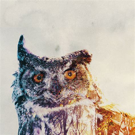 Beautiful Double Exposure Photos Blend Wildlife With Wild Terrain By