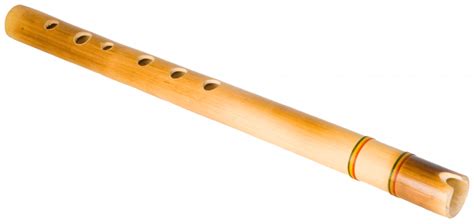 Planning to Clean your Woodwind Instrument? Here are some Tips ...