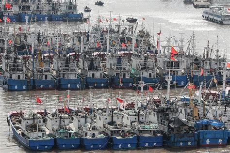 How China Became A Fishing Superpower