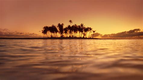 Photography Nature Landscape Water Sea Island Palm