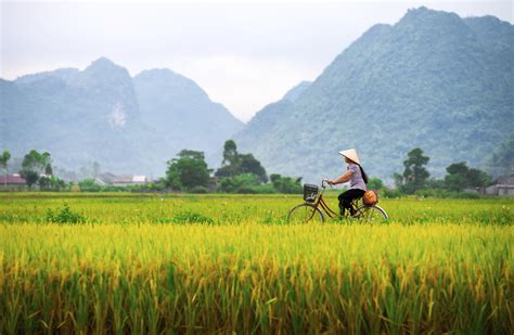 10 Best Southern Vietnam Tours & Vacation Packages 2021/2022 - TourRadar