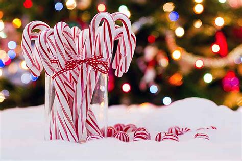 The Twisted And Bent History Of The Candy Cane Foodal