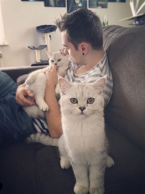 Adorable Cat Dad Photos Showing How Special The Bond Between Daddy And