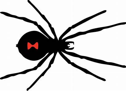 Clipart Spider Spiders Widow Cliparts Clip Happy
