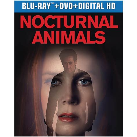 Nocturnal Animals Dvd Blu Ray Digital Hd Movies And Videos