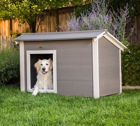 How To Build A Insulated Dog House Builders Villa