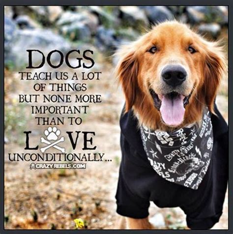 32 Inspirational Dog Quotes And Sayings Swan Quote