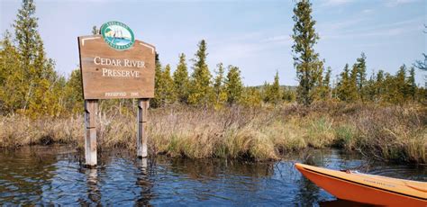 The Cedar River Preserve The Everglades Of Michigans Lower Peninsula