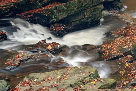 Autumn Leaves And Stream Photograph By Chris Oliver